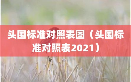 头围标准对照表图（头围标准对照表2021）