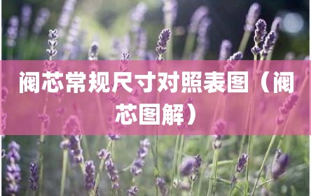 阀芯常规尺寸对照表图（阀芯图解）