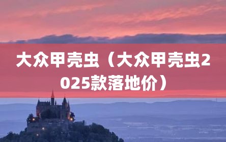 大众甲壳虫（大众甲壳虫2025款落地价）