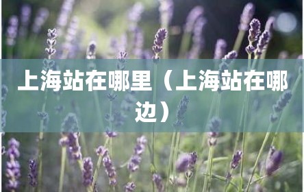 上海站在哪里（上海站在哪边）