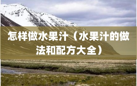 怎样做水果汁（水果汁的做法和配方大全）