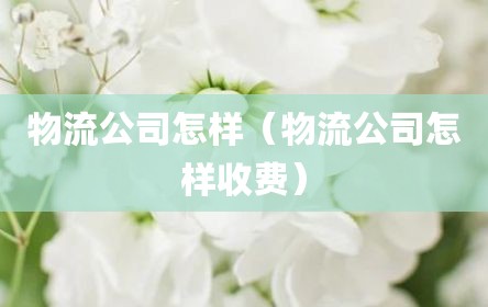 物流公司怎样（物流公司怎样收费）