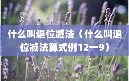 什么叫退位减法（什么叫退位减法算式例12一9）