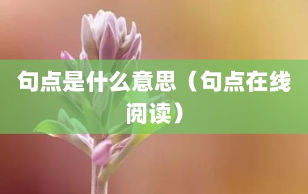 句点是什么意思（句点在线阅读）