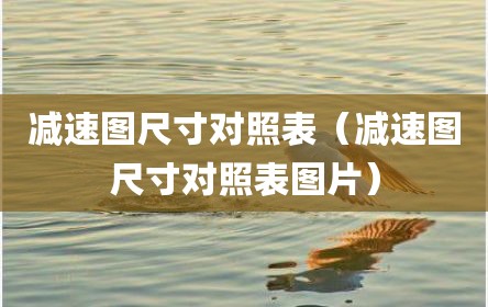 减速图尺寸对照表（减速图尺寸对照表图片）