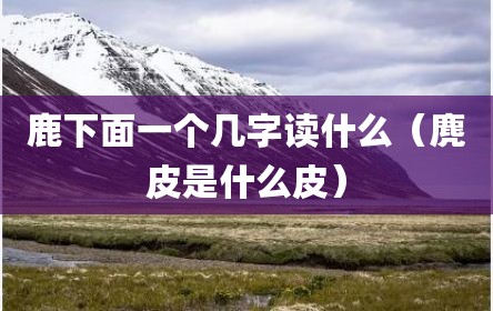 鹿下面一个几字读什么（麂皮是什么皮）