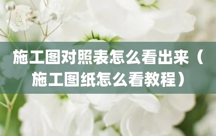 施工图对照表怎么看出来（施工图纸怎么看教程）