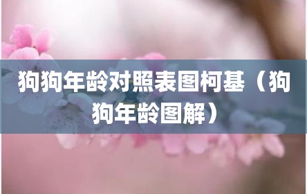 狗狗年龄对照表图柯基（狗狗年龄图解）