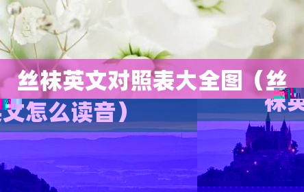 丝袜英文对照表大全图（丝袜英文怎么读音）