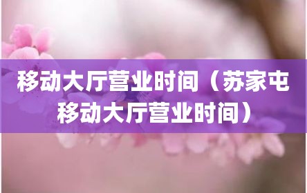 移动大厅营业时间（苏家屯移动大厅营业时间）