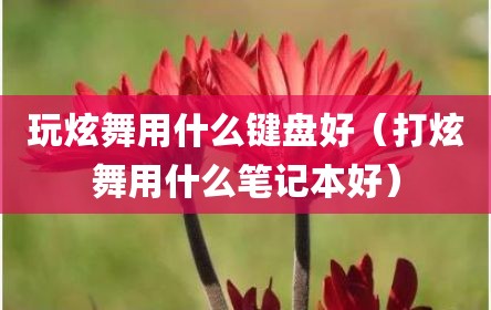 玩炫舞用什么键盘好（打炫舞用什么笔记本好）