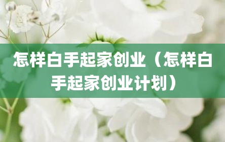 怎样白手起家创业（怎样白手起家创业计划）