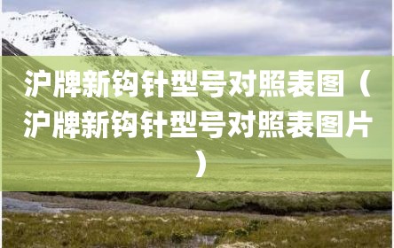 沪牌新钩针型号对照表图（沪牌新钩针型号对照表图片）