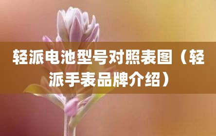 轻派电池型号对照表图（轻派手表品牌介绍）