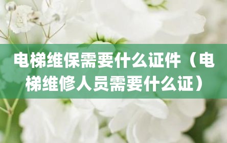 电梯维保需要什么证件（电梯维修人员需要什么证）