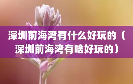 深圳前海湾有什么好玩的（深圳前海湾有啥好玩的）