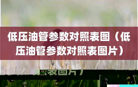 低压油管参数对照表图（低压油管参数对照表图片）