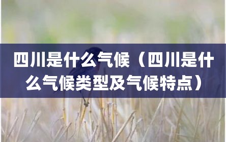 四川是什么气候（四川是什么气候类型及气候特点）