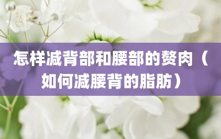 怎样减背部和腰部的赘肉（如何减腰背的脂肪）