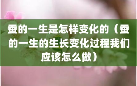 蚕的一生是怎样变化的（蚕的一生的生长变化过程我们应该怎么做）