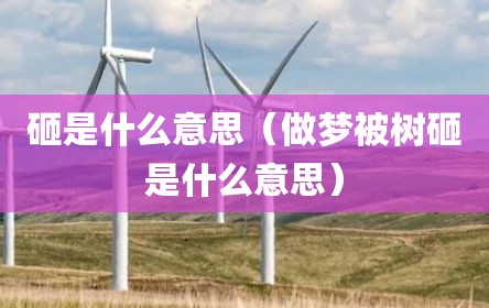 砸是什么意思（做梦被树砸是什么意思）
