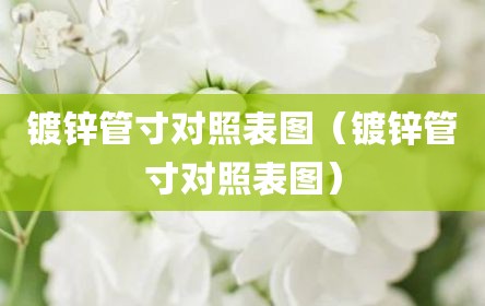 镀锌管寸对照表图（镀锌管寸对照表图）