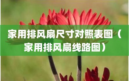 家用排风扇尺寸对照表图（家用排风扇线路图）