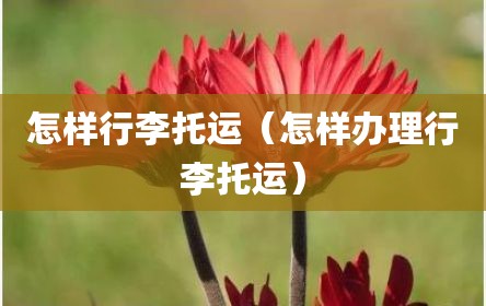 怎样行李托运（怎样办理行李托运）