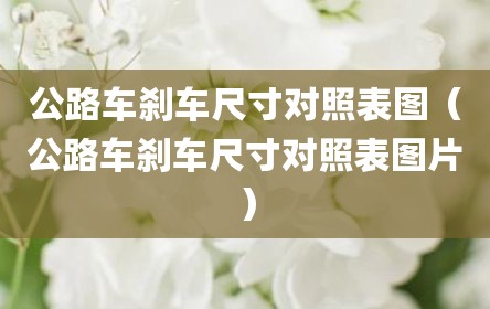 公路车刹车尺寸对照表图（公路车刹车尺寸对照表图片）