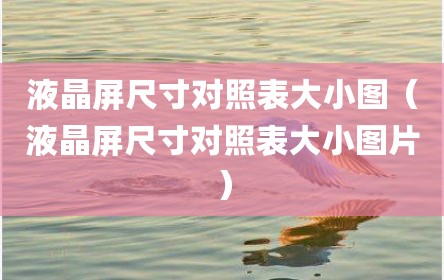 液晶屏尺寸对照表大小图（液晶屏尺寸对照表大小图片）