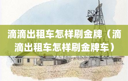 滴滴出租车怎样刷金牌（滴滴出租车怎样刷金牌车）