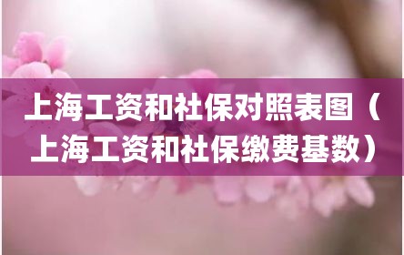 上海工资和社保对照表图（上海工资和社保缴费基数）