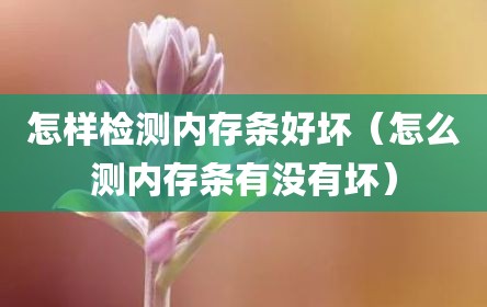 怎样检测内存条好坏（怎么测内存条有没有坏）
