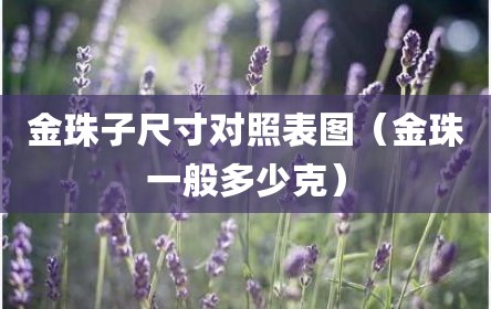 金珠子尺寸对照表图（金珠一般多少克）
