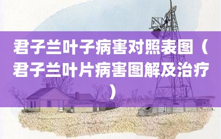君子兰叶子病害对照表图（君子兰叶片病害图解及治疗）