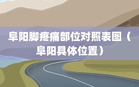 阜阳脚疼痛部位对照表图（阜阳具体位置）