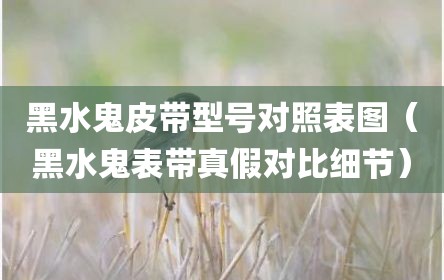 黑水鬼皮带型号对照表图（黑水鬼表带真假对比细节）