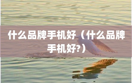 什么品牌手机好（什么品牌手机好?）