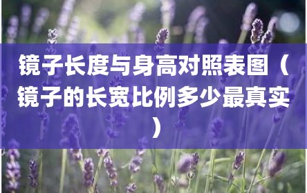 镜子长度与身高对照表图（镜子的长宽比例多少最真实）