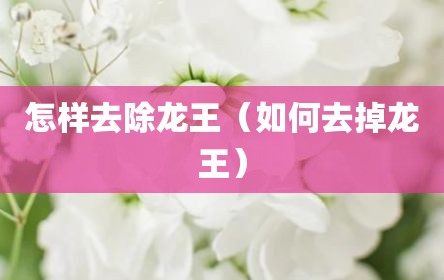 怎样去除龙王（如何去掉龙王）