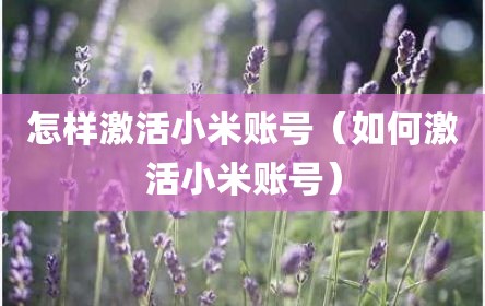怎样激活小米账号（如何激活小米账号）