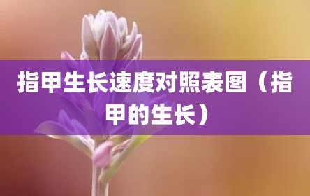 指甲生长速度对照表图（指甲的生长）