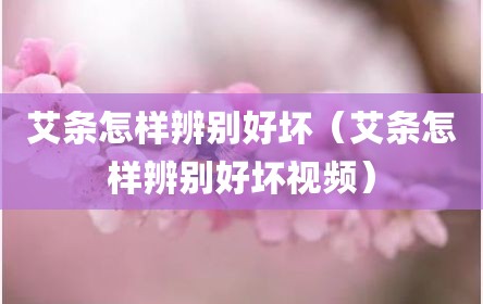 艾条怎样辨别好坏（艾条怎样辨别好坏视频）