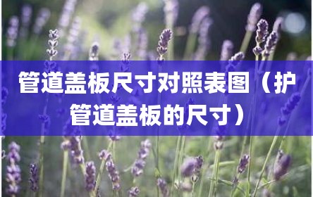 管道盖板尺寸对照表图（护管道盖板的尺寸）