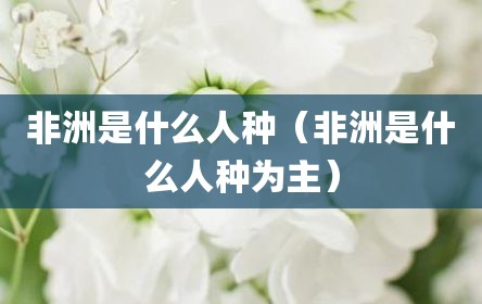 非洲是什么人种（非洲是什么人种为主）