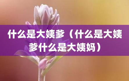 什么是大姨爹（什么是大姨爹什么是大姨妈）