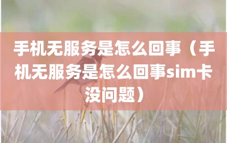 手机无服务是怎么回事（手机无服务是怎么回事sim卡没问题）