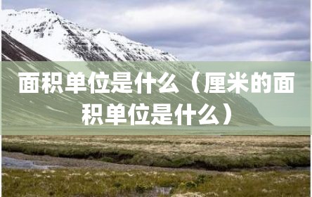 面积单位是什么（厘米的面积单位是什么）