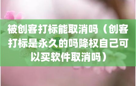 被创客打标能取消吗（创客打标是永久的吗降权自己可以买软件取消吗）