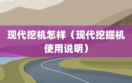 现代挖机怎样（现代挖掘机使用说明）